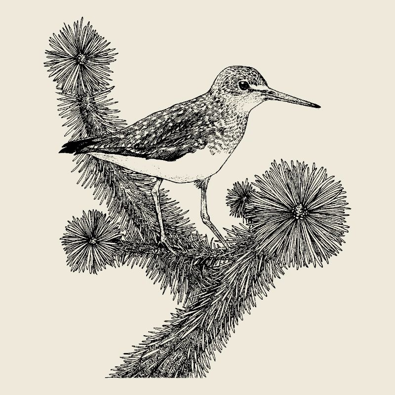 Zarter Singvogel "Piepsi"