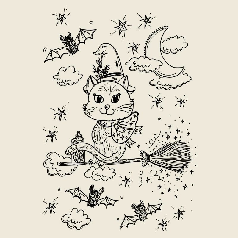Witch Cat Magic Broom