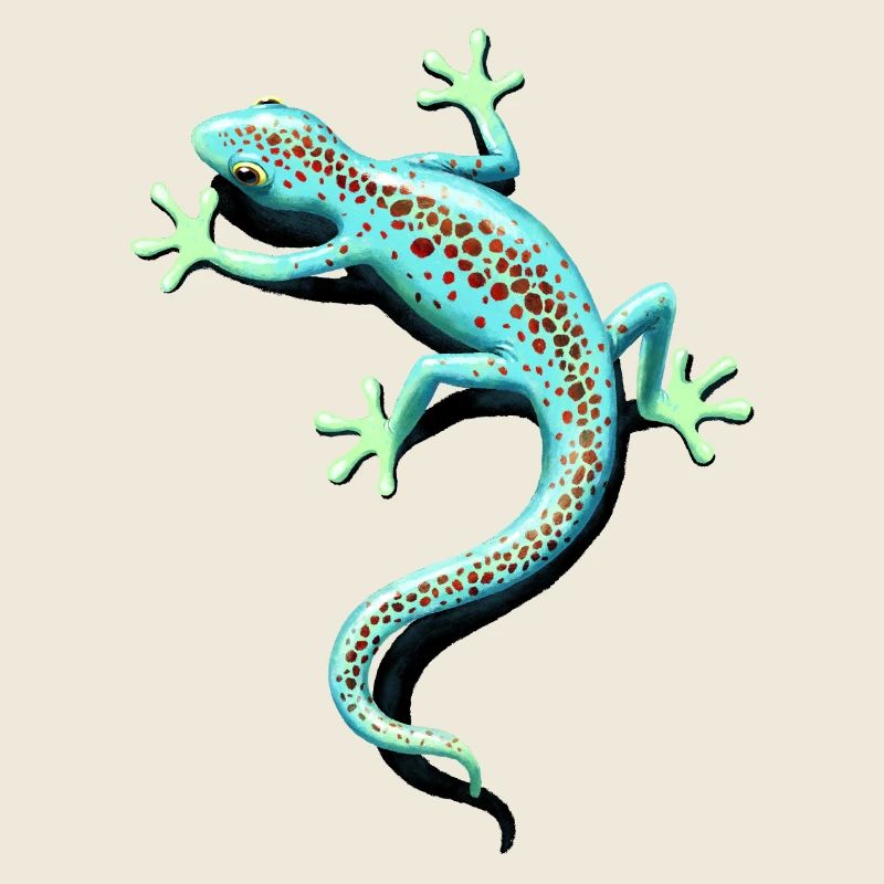 spotted gecko