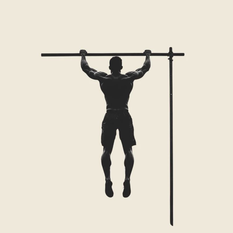 Training & Muscle Building: Chic Gift