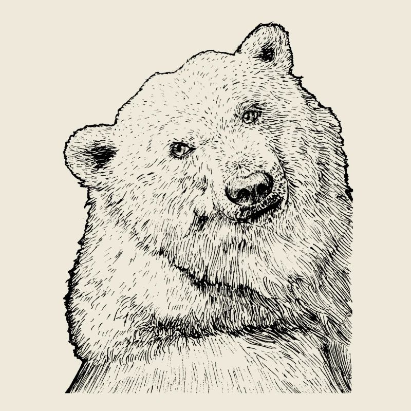Dreaming Polar Bear
