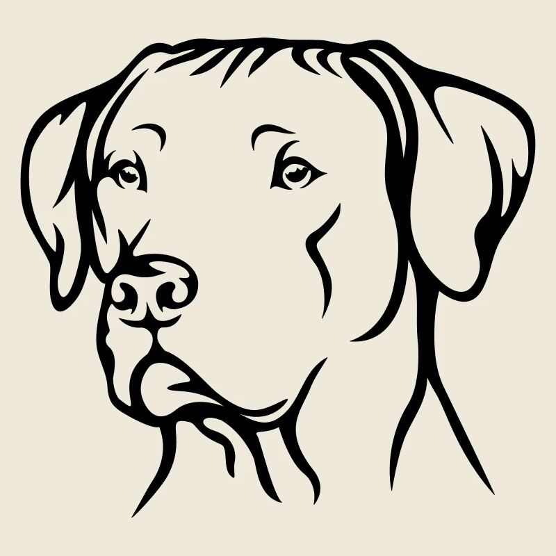 Rhodesian Ridgeback