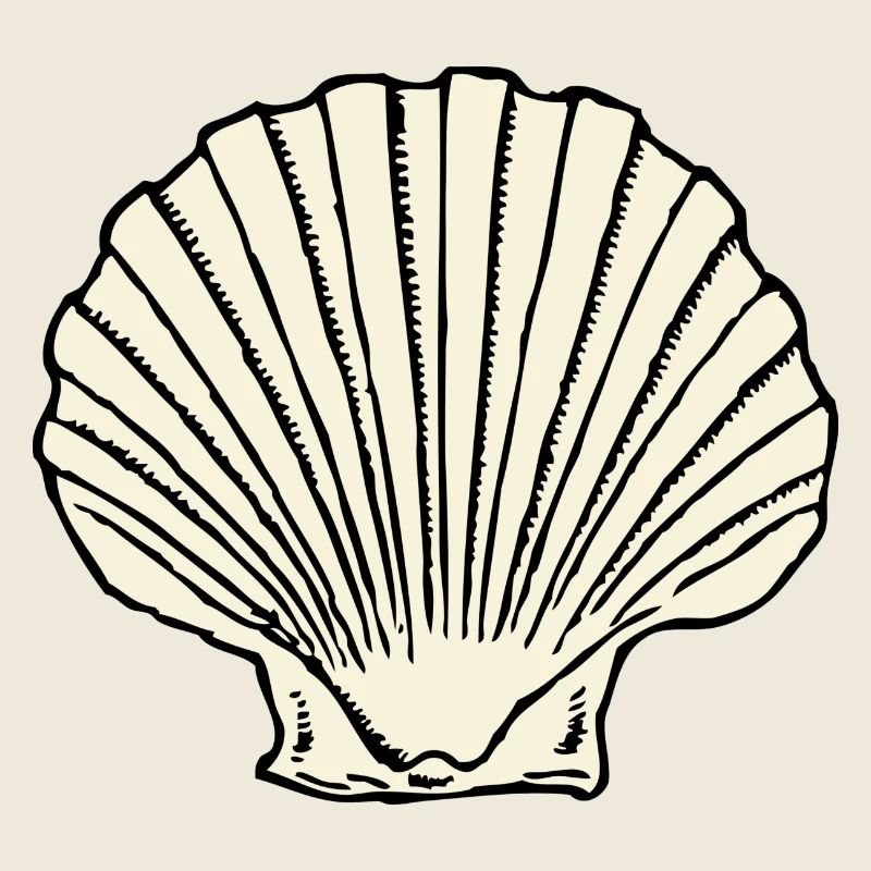 mussel64
