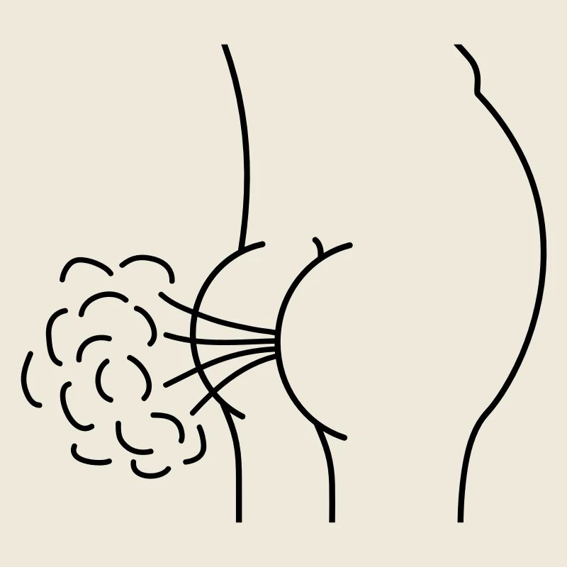Fart