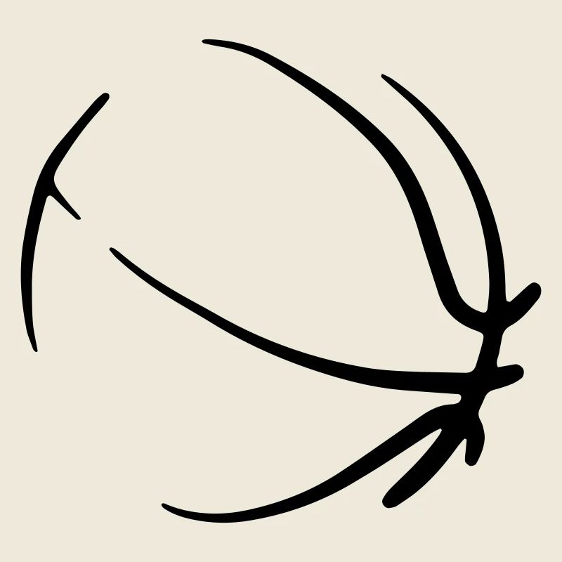 Basket-ball 30
