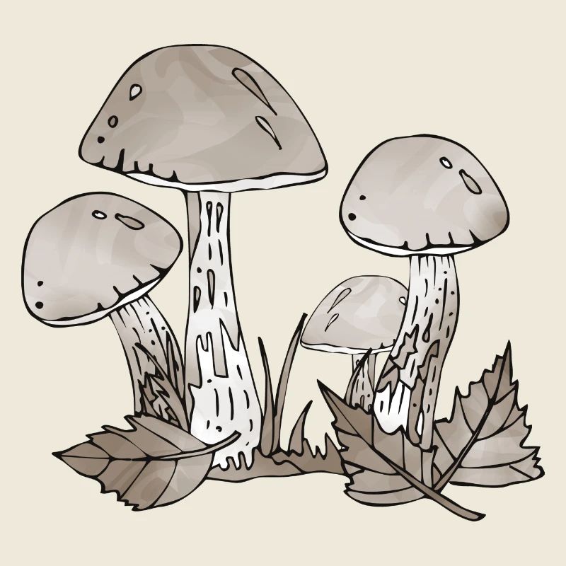 Fungi