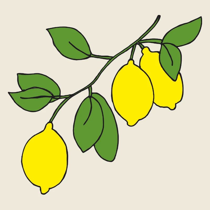 Lemon Branch