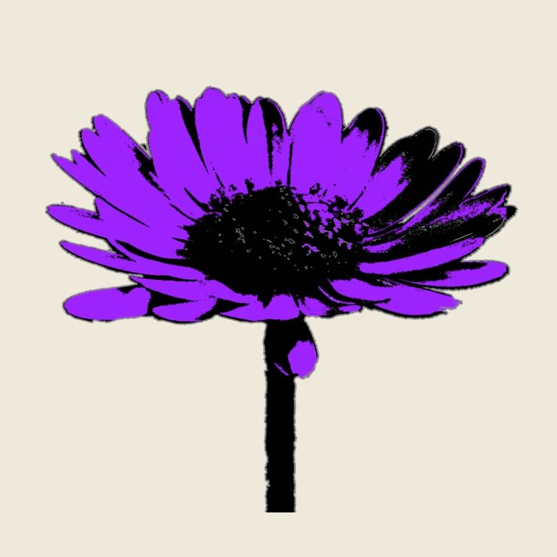 Blume