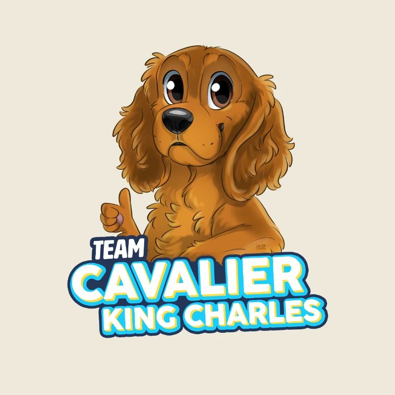 TEAM Cavalier King Charles - Feu