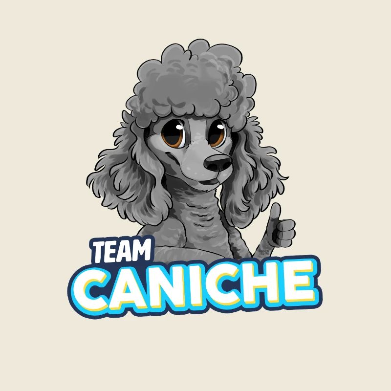 Caniche - Gris