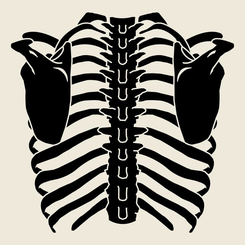 Ribcage (Back side)
