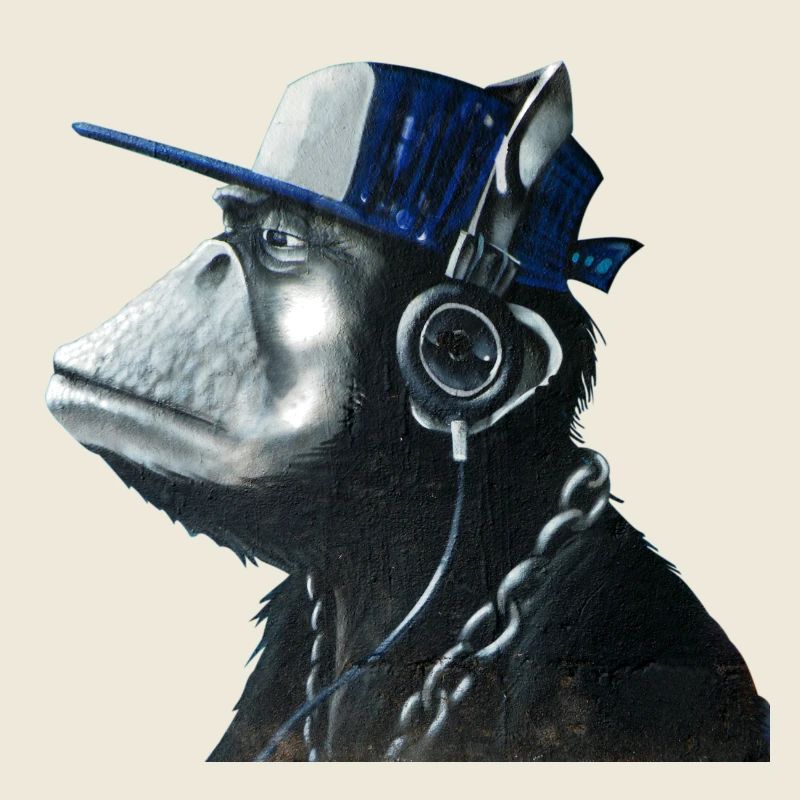 Monkey graffiti by CustomStyle