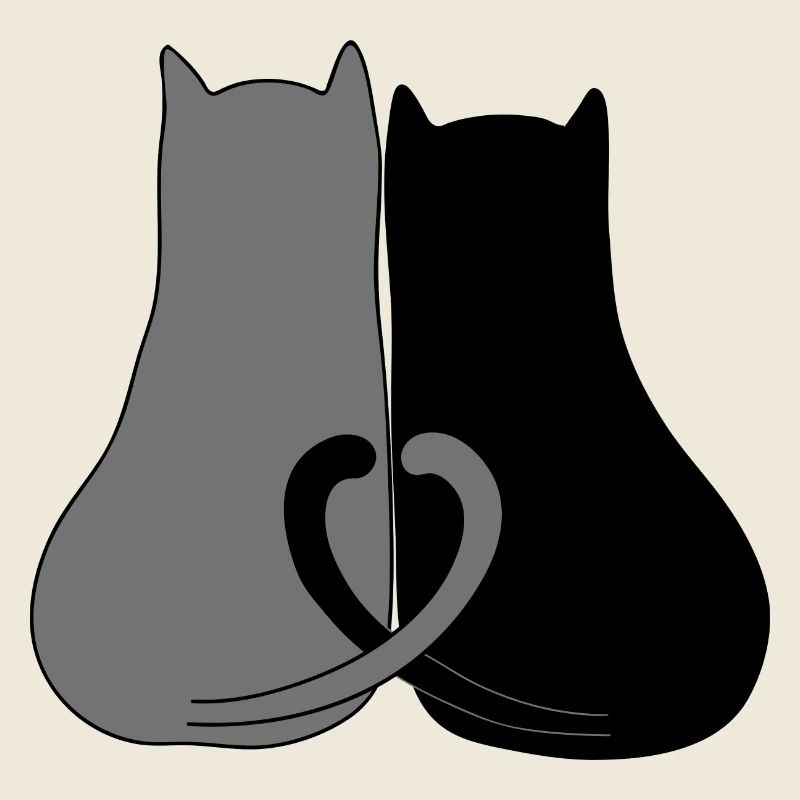 2 chat coeur