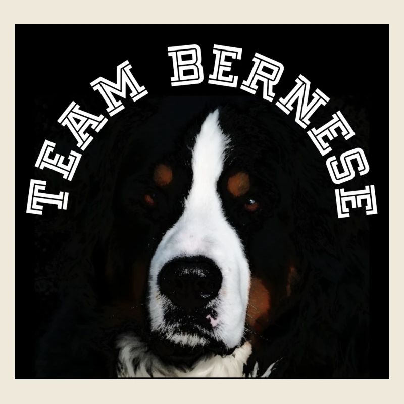 Berner Sennenhund