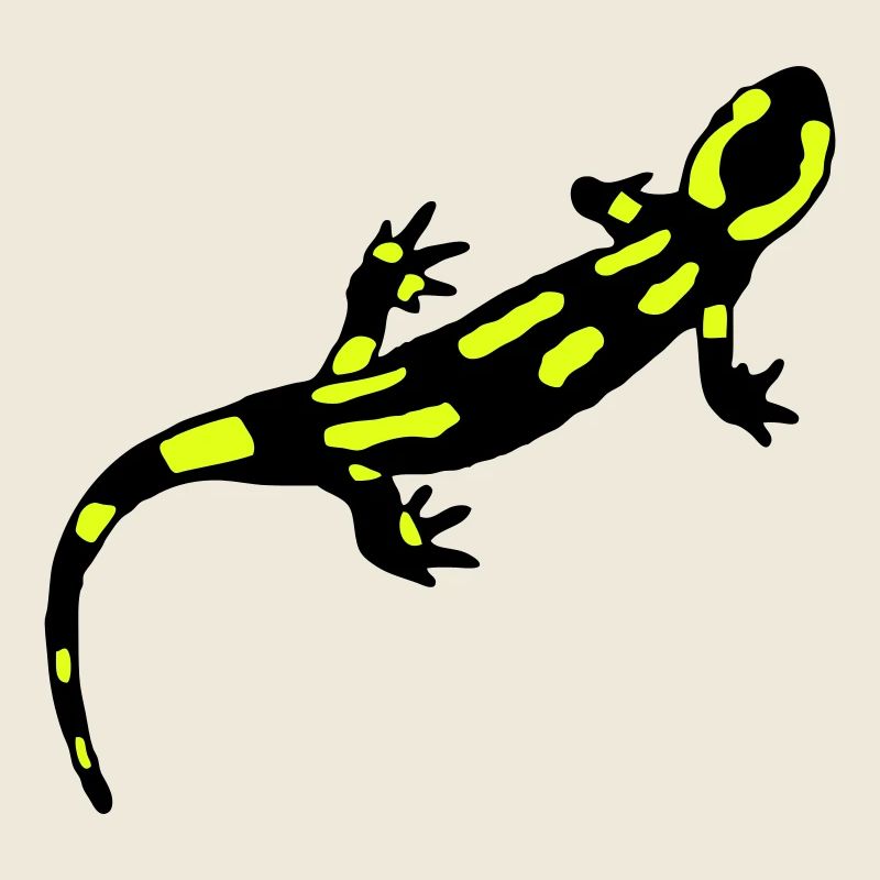 Feuersalamander (gebändert)