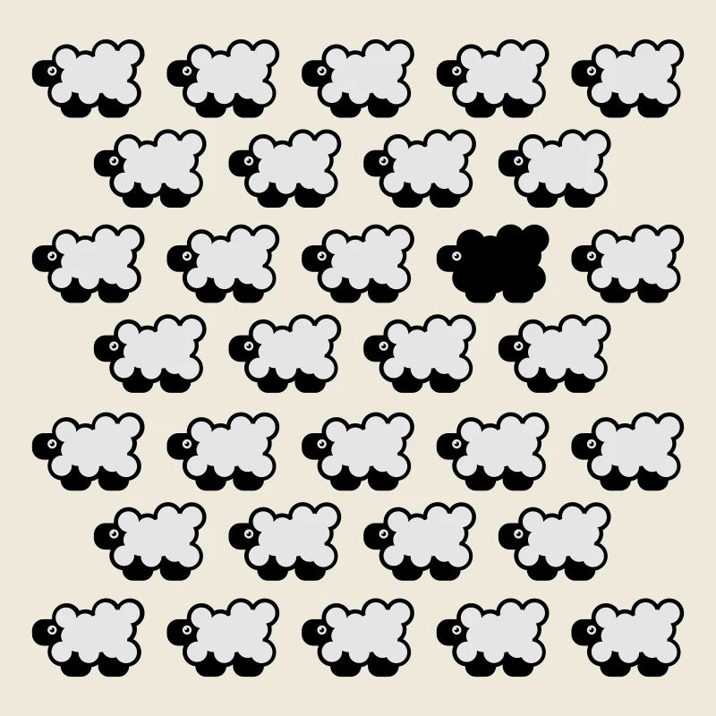 Black Sheep 2C