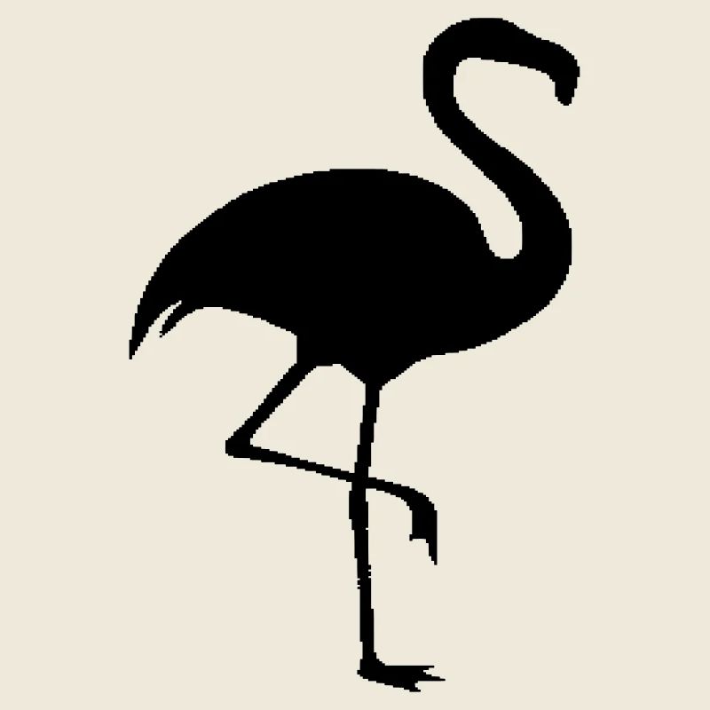 flamand rose