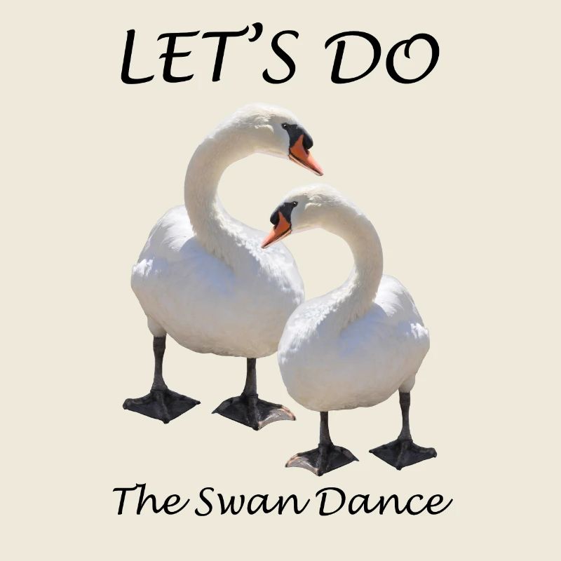 Swan