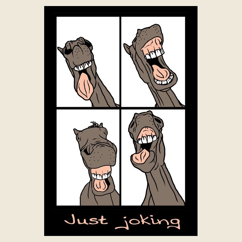 "Just joking"