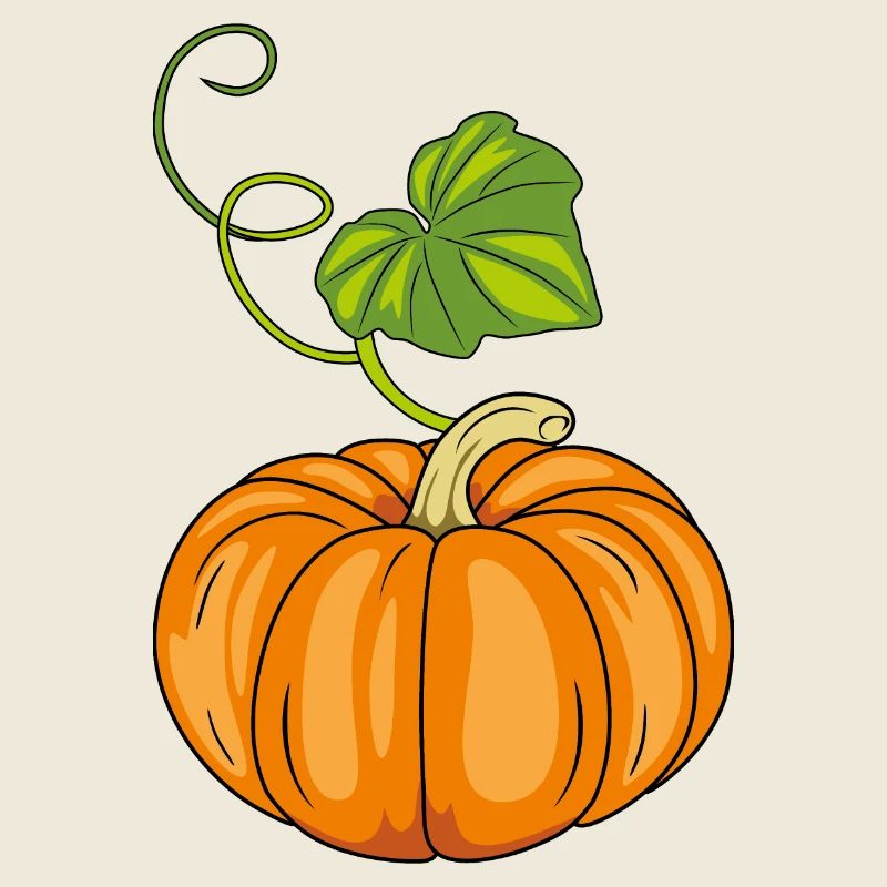Ripe pumpkin with green leaf