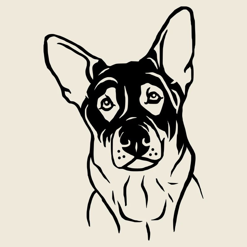 Chien de berger