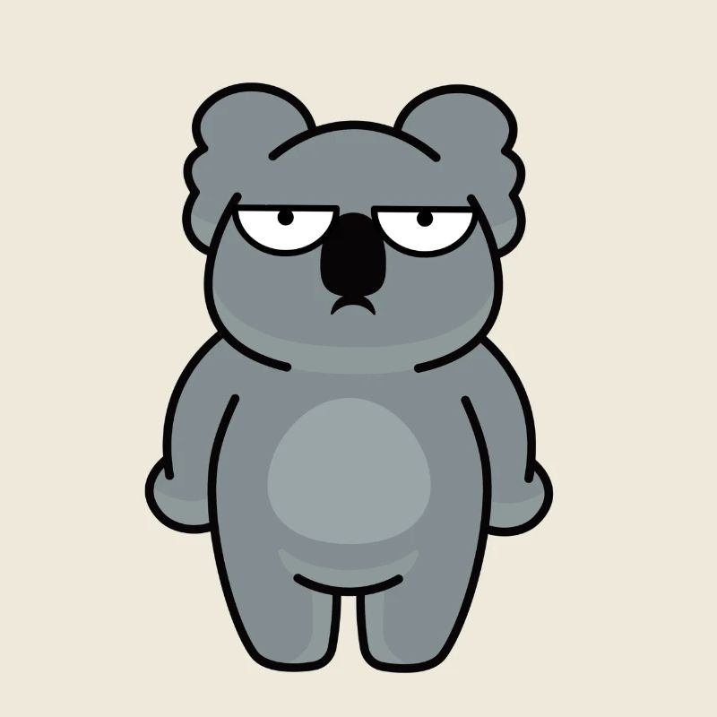 Miś koala