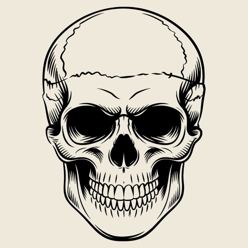 Skull