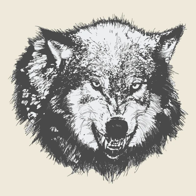 wolf
