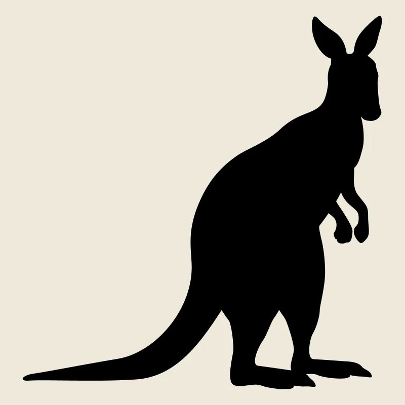 kangaroo animal