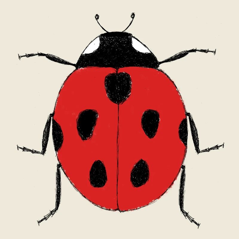 Marienkäfer