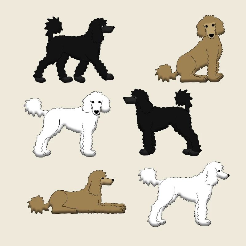 Sélection de caniche