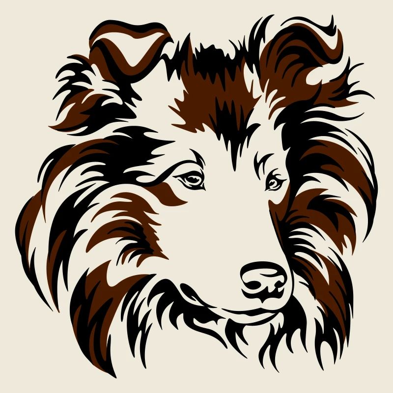 Collie
