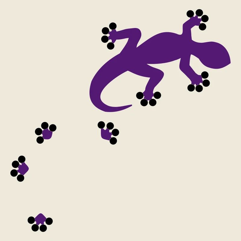 Gecko - 2c