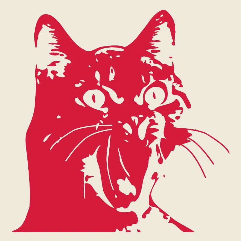 Katze OMG!