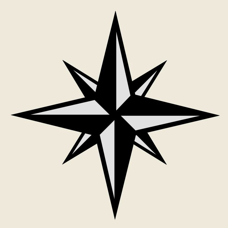 Compass icon