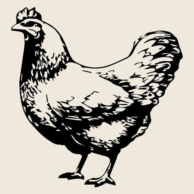 chicken