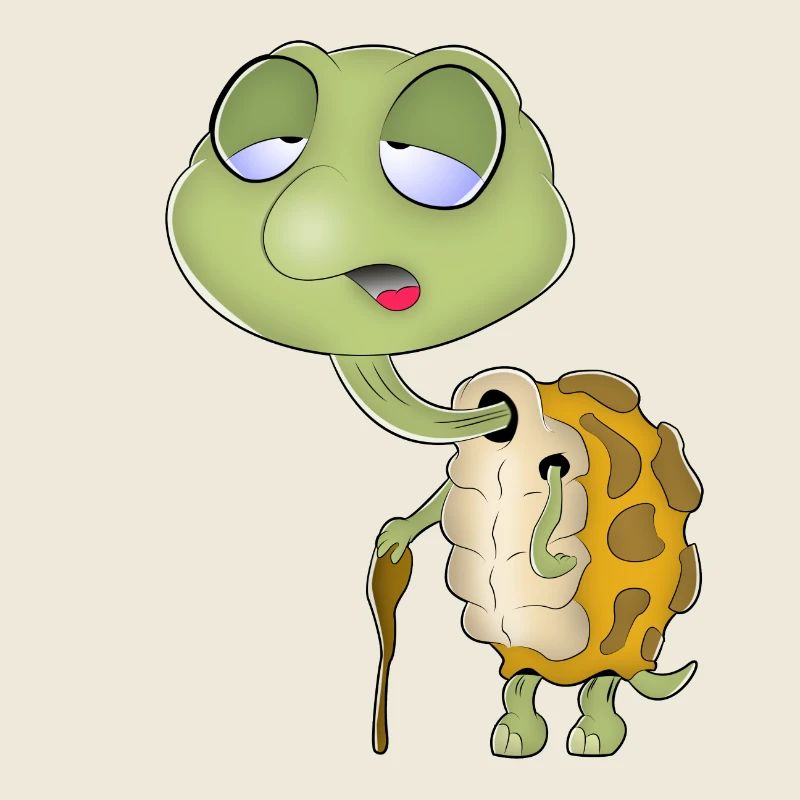 Schildkröte
