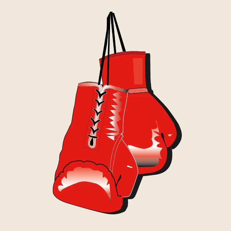 gants de boxe