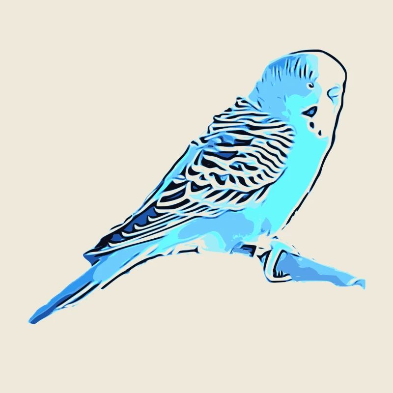 Budgerigar