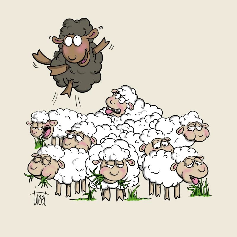 Black Sheep
