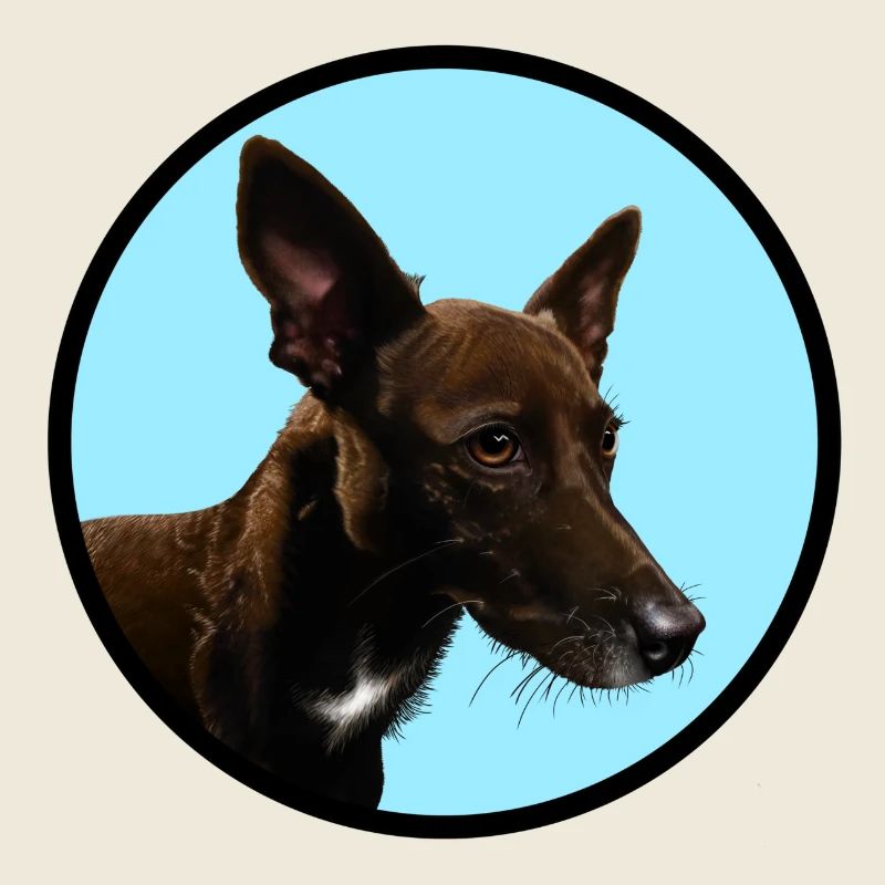 Mogli