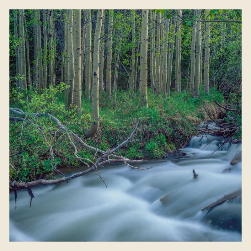 Rocky Mountains Fluss