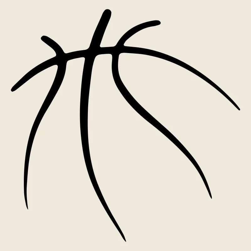 Basketball 09