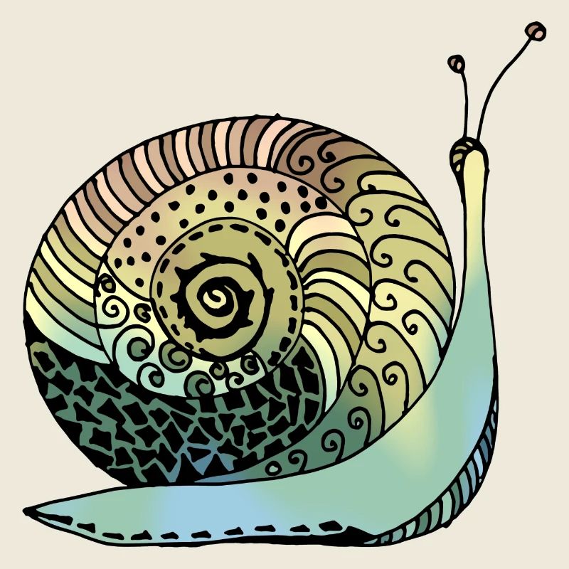 Snail