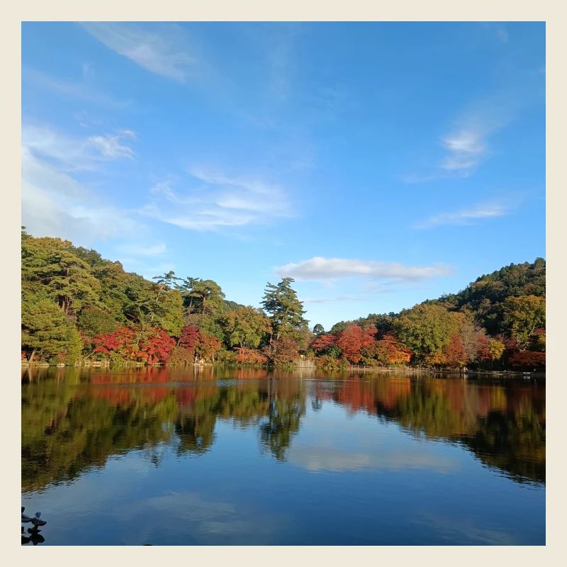 Vue sur le lac