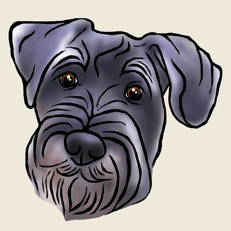 Mittelschnauzer Kopf im Comicstyle