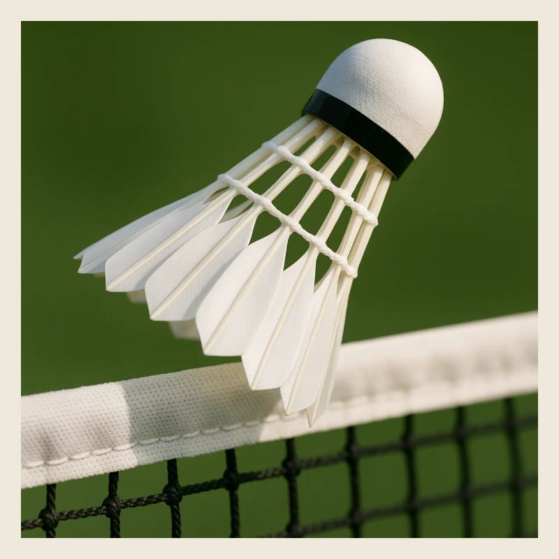 Badminton - ball over net