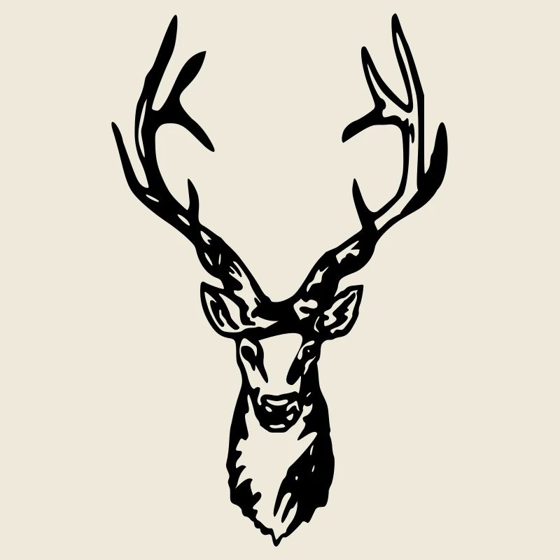 Hirsch - Hirschkopf - Hirschgeweih