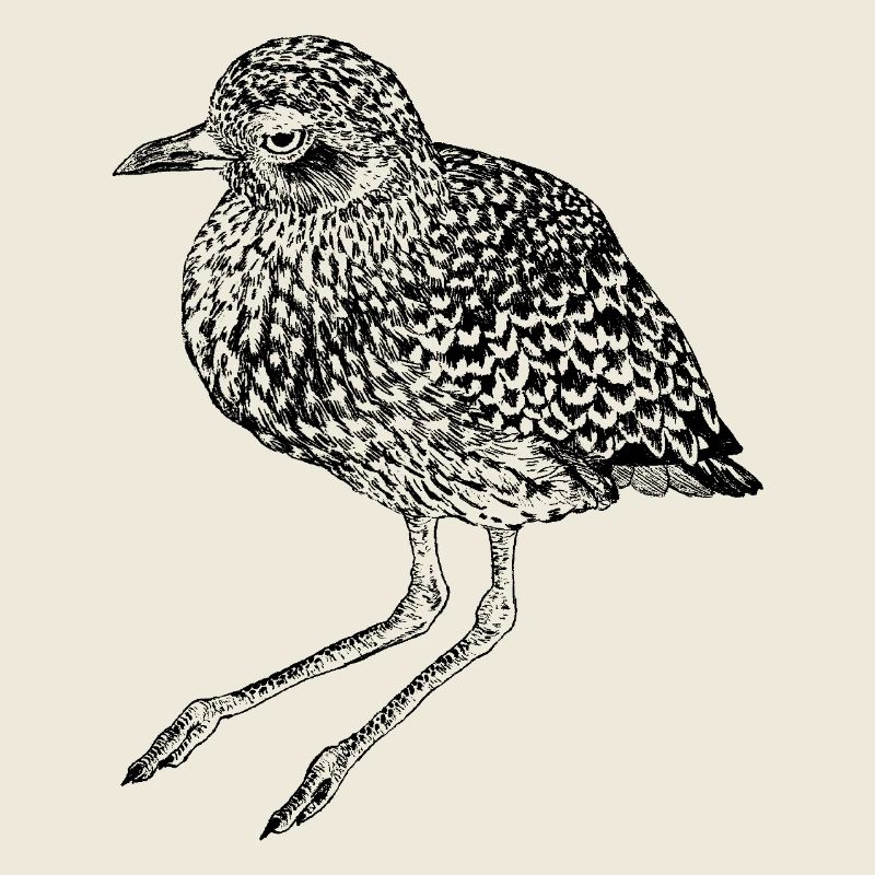 Bombastic Side-Eye Bird