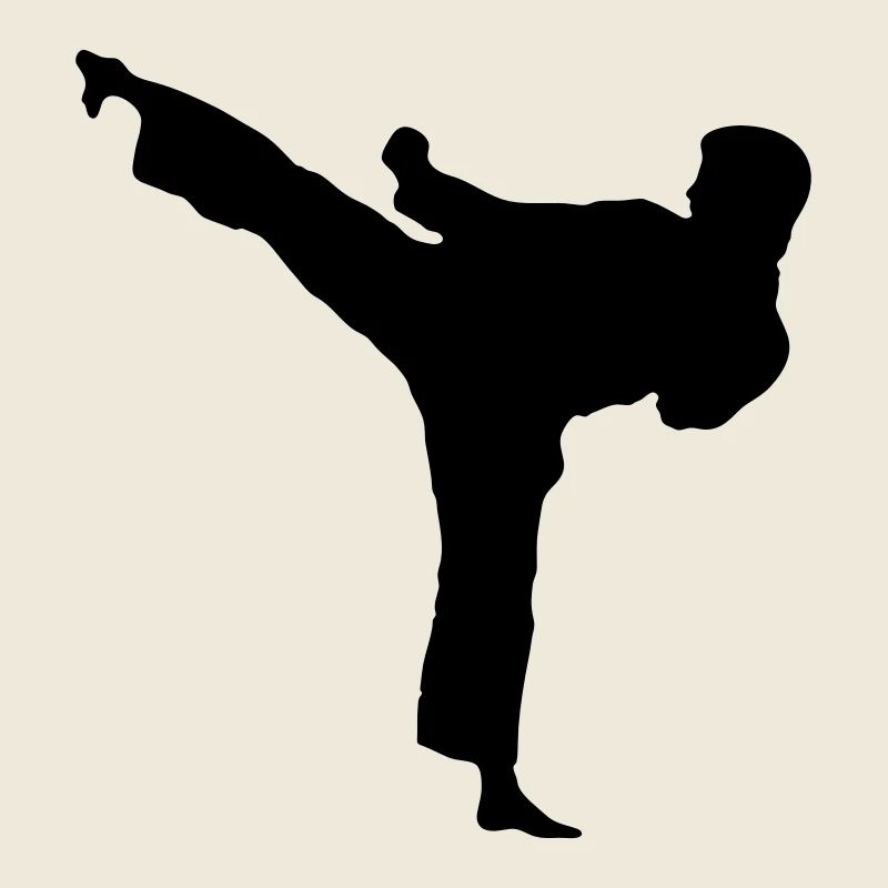 Highkick nach links